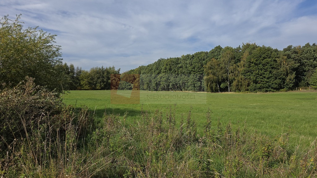Działka Sprzedaż Przęsocin
