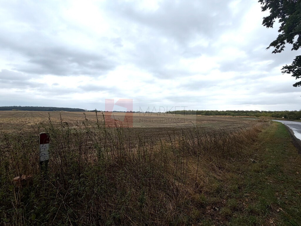 Działka Sprzedaż Pyrzyce Czerwonomłyńska
