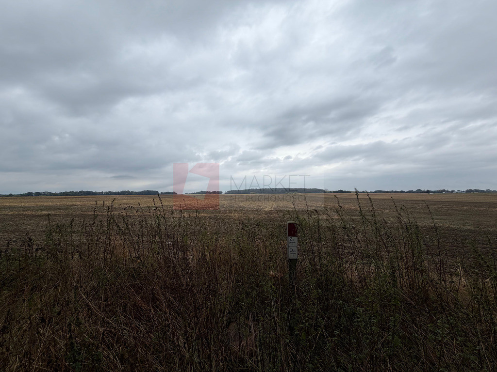 Działka Sprzedaż Pyrzyce Czerwonomłyńska