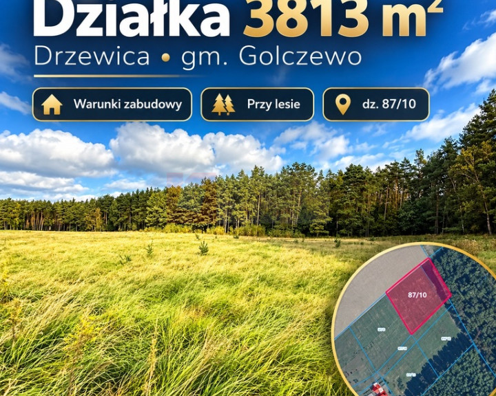 Działka Sprzedaż Drzewica