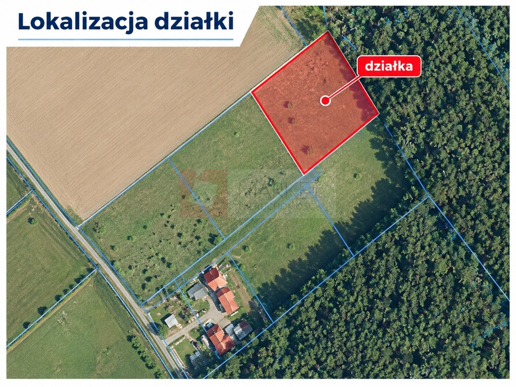Działka Sprzedaż Drzewica