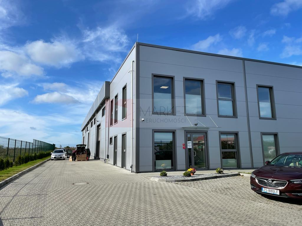 Lokal Wynajem Skarbimierzyce Powiewna
