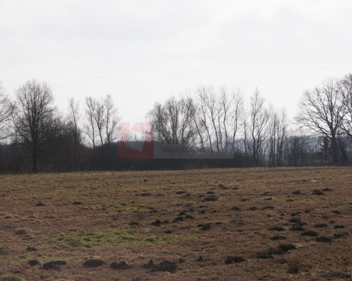 Działka Sprzedaż Jarzębowo