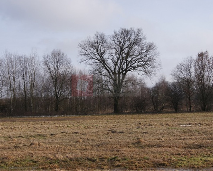 Działka Sprzedaż Jarzębowo