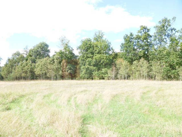 Działka Sprzedaż Grzepnica