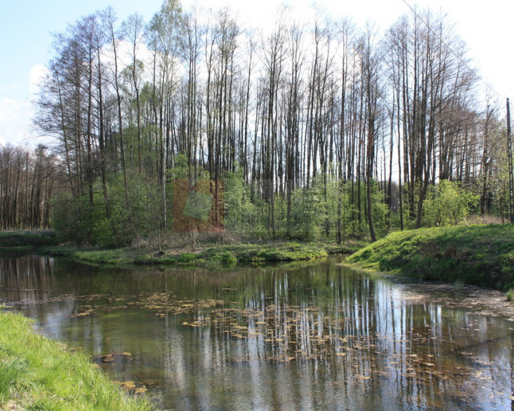 Obiekt Sprzedaż Świdwin