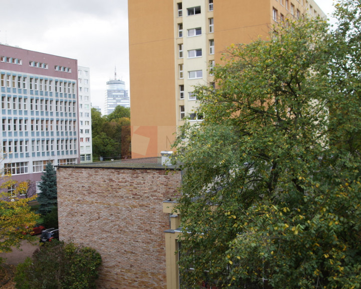 Mieszkanie Wynajem Szczecin Centrum Henryka Pobożnego