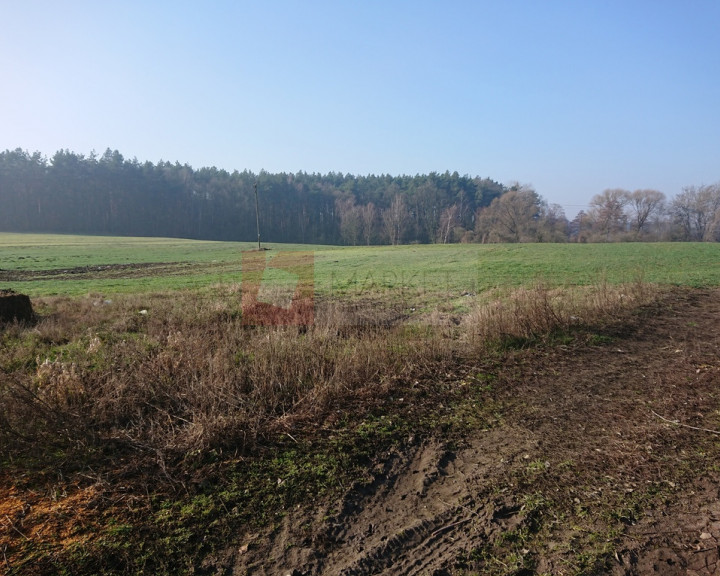 Działka Sprzedaż Raduń