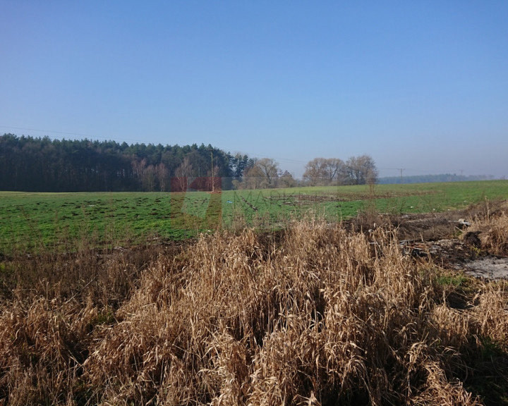 Działka Sprzedaż Raduń