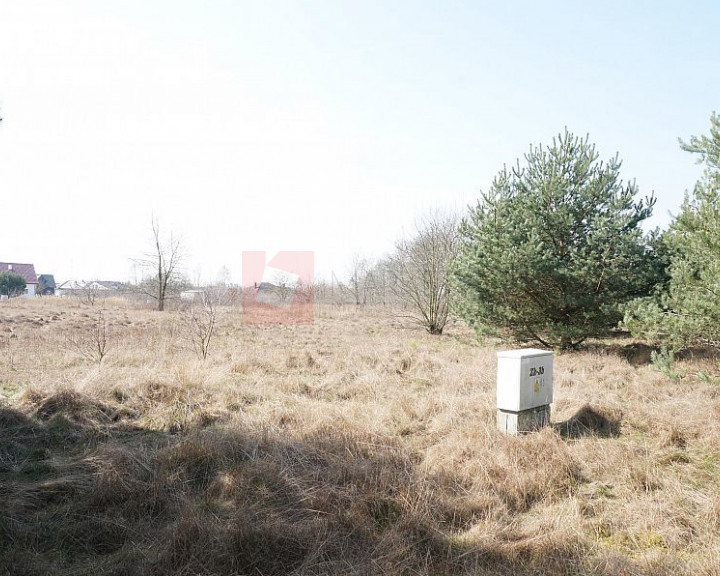 Działka Sprzedaż Rurzyca