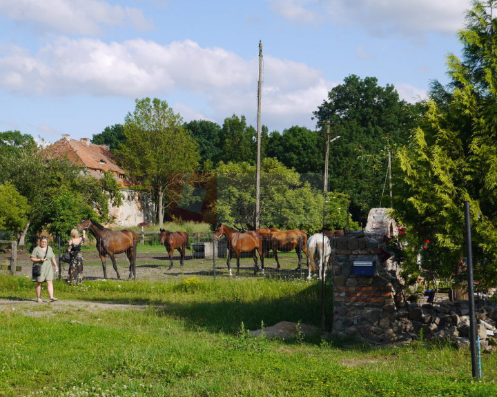 Obiekt Sprzedaż Sulimierz