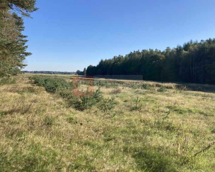 Działka Sprzedaż Krzepocin