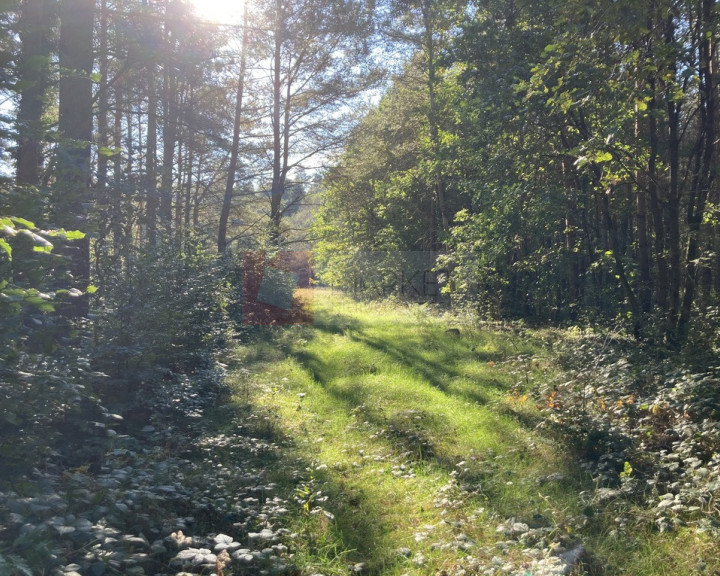 Działka Sprzedaż Krzepocin