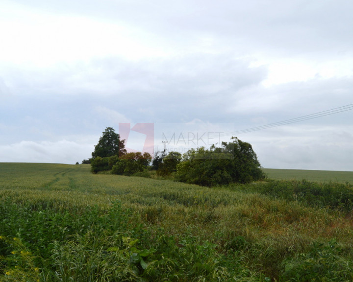 Działka Sprzedaż Kamieniec