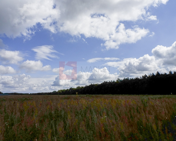 Działka Sprzedaż Nowogard