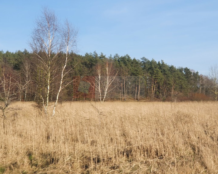 Działka Sprzedaż Białuń