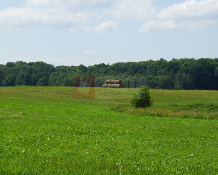 Działka Sprzedaż Bobolice