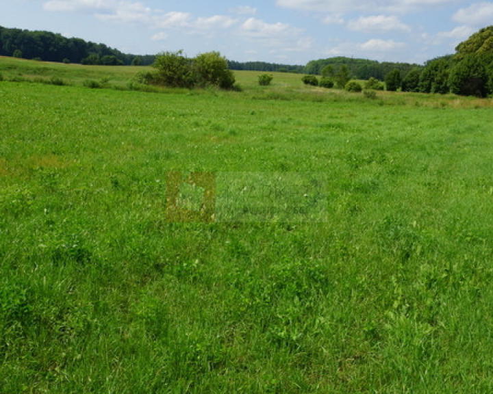 Działka Sprzedaż Bobolice