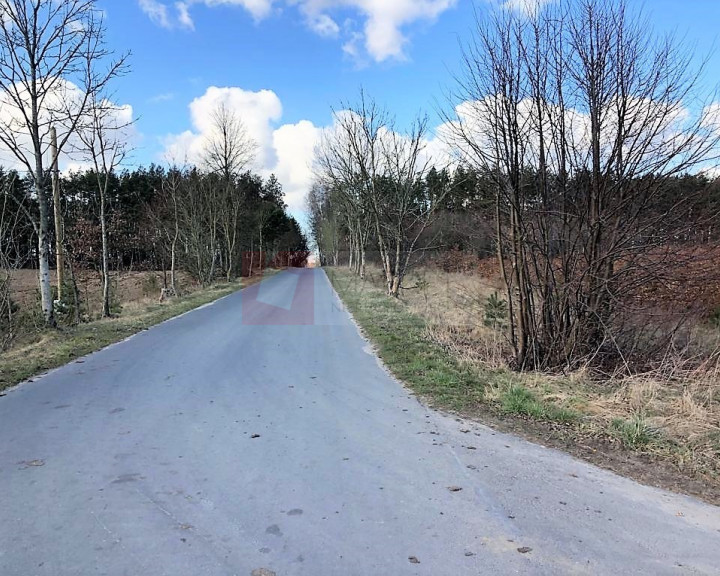 Działka Sprzedaż Sosnowice