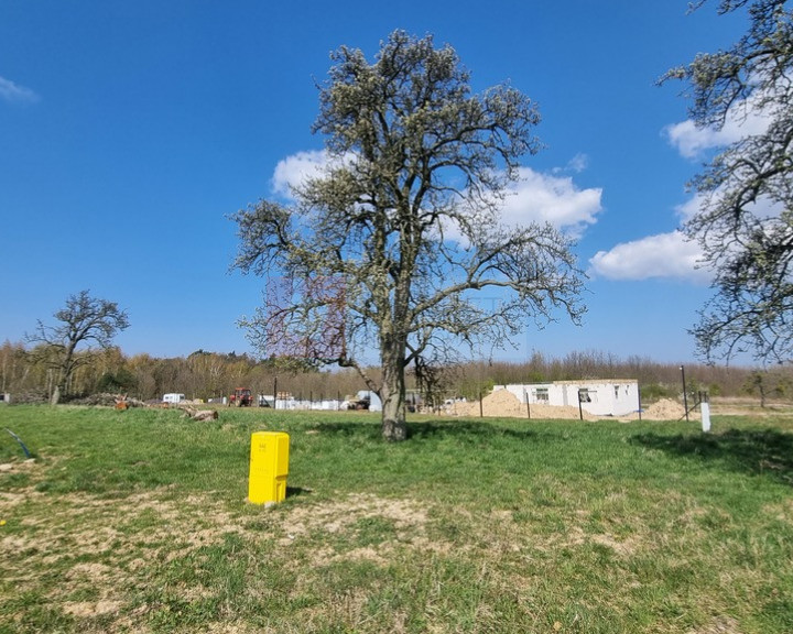 Działka Sprzedaż Szczecin Skolwin