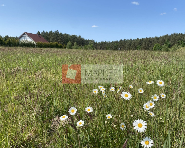 Działka Sprzedaż Przybiernów