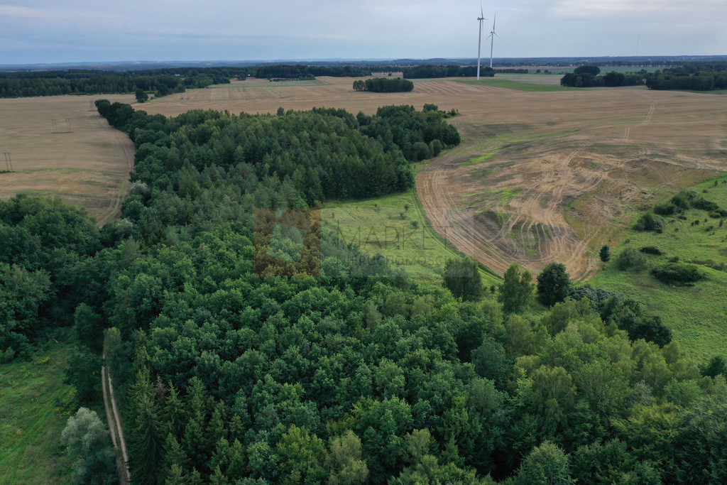 Działka Sprzedaż Prusinowo