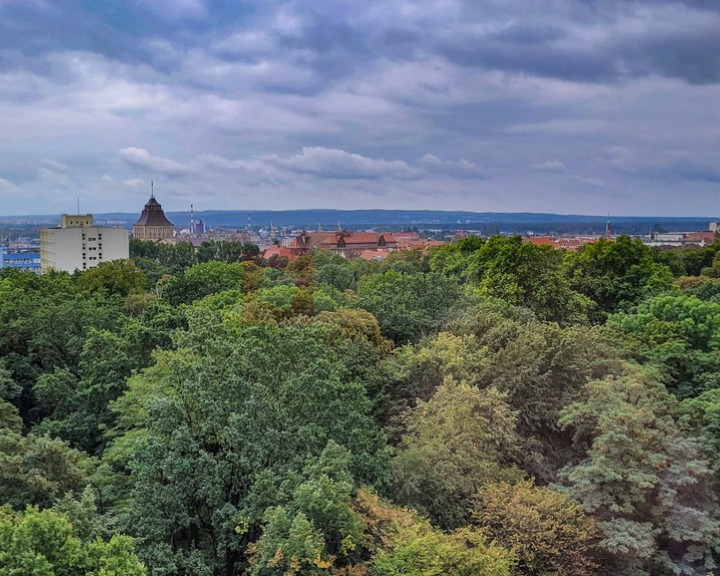 Mieszkanie Sprzedaż Szczecin Centrum Jana Matejki