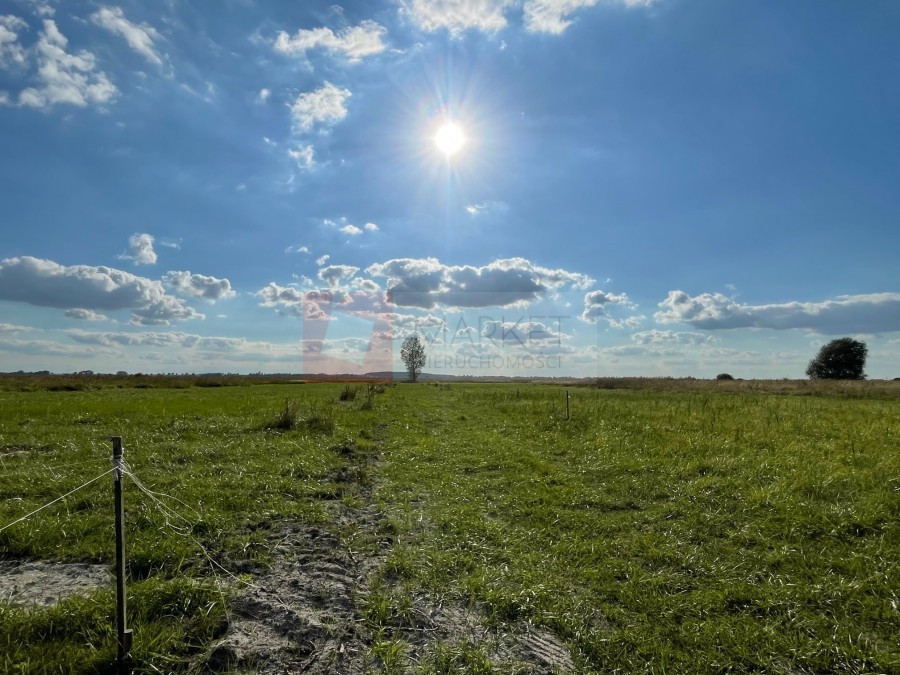 Działka Sprzedaż Wierzbno