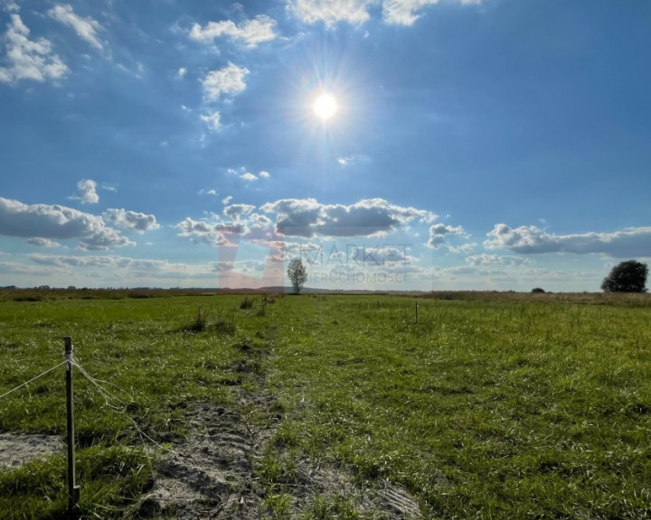 Działka Sprzedaż Wierzbno