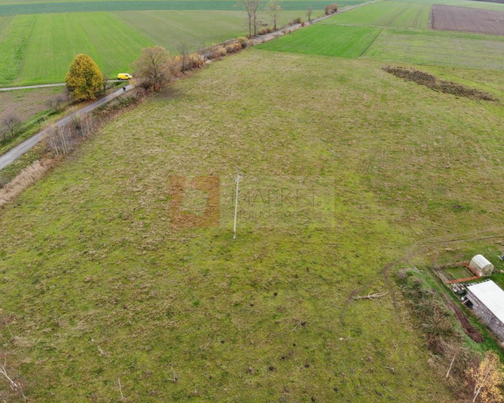 Działka Sprzedaż Kościuszki