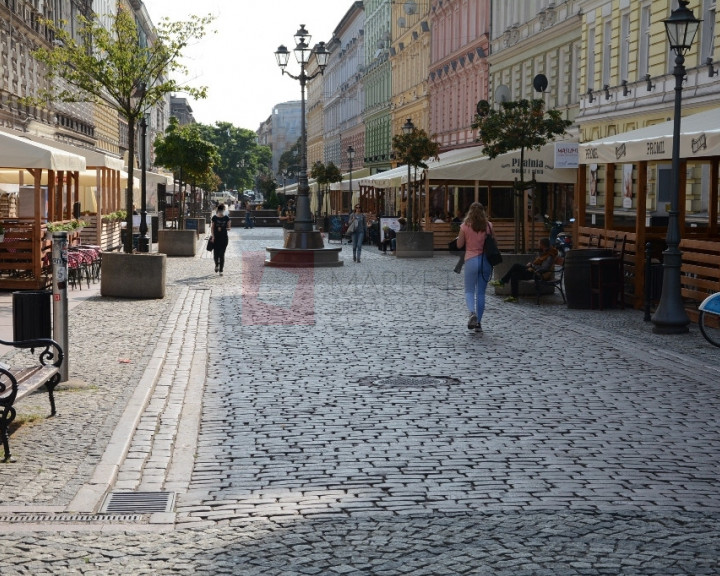 Lokal Wynajem Szczecin Centrum