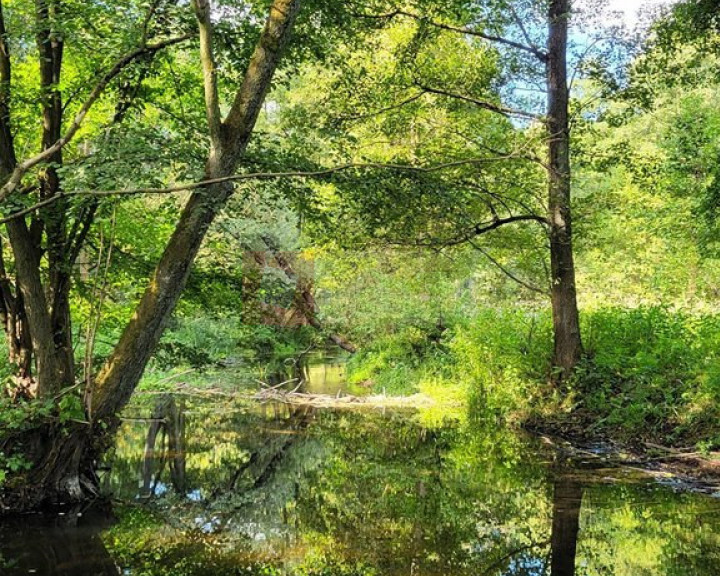 Działka Sprzedaż Staw