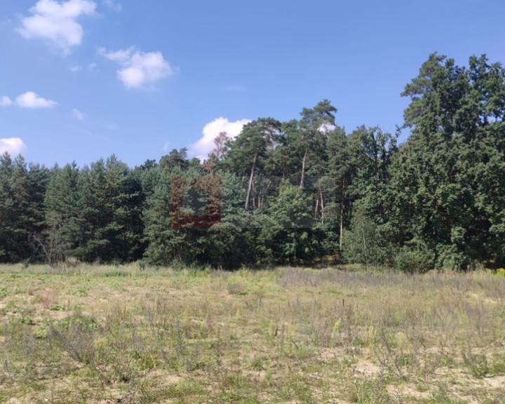 Działka Sprzedaż Kościno