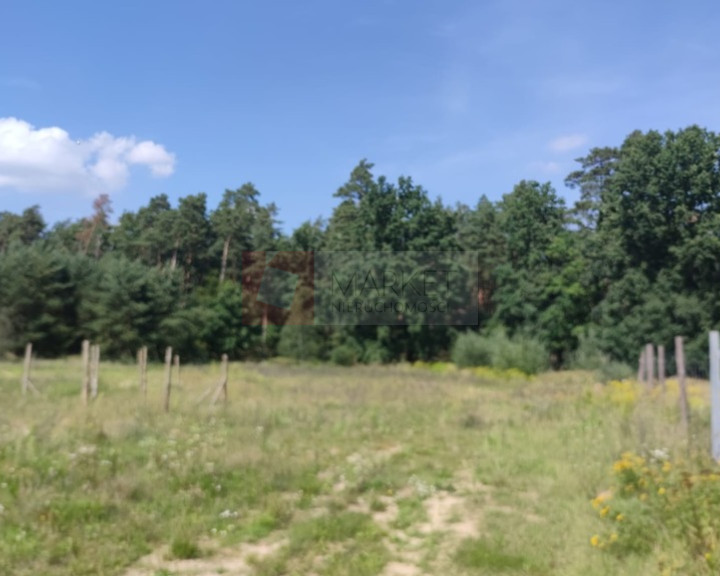 Działka Sprzedaż Kościno