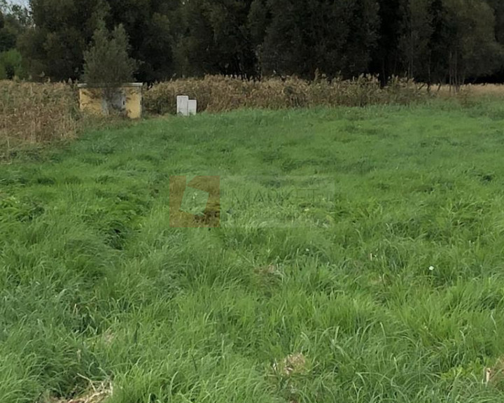 Działka Sprzedaż Dobra Hebanowa