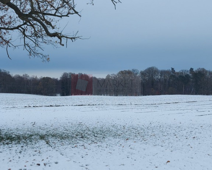 Działka Sprzedaż Budzieszowce