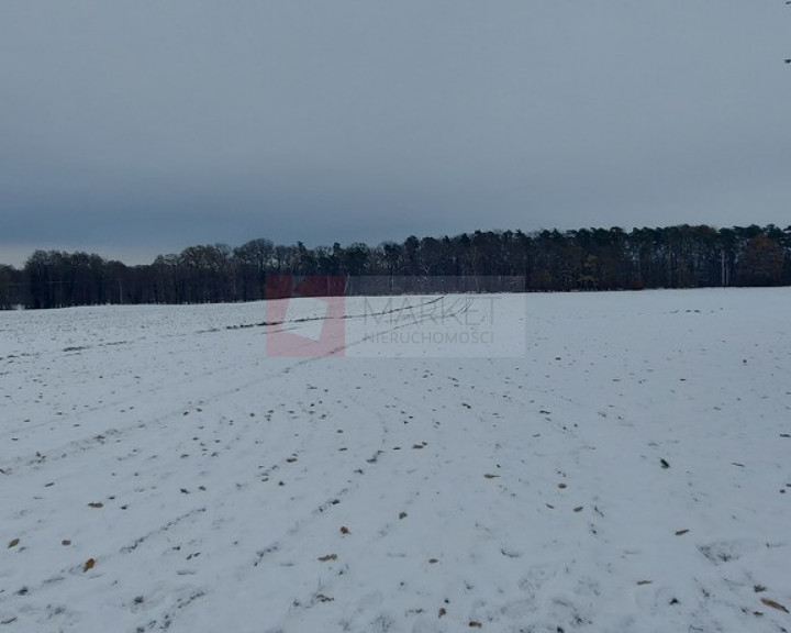 Działka Sprzedaż Budzieszowce