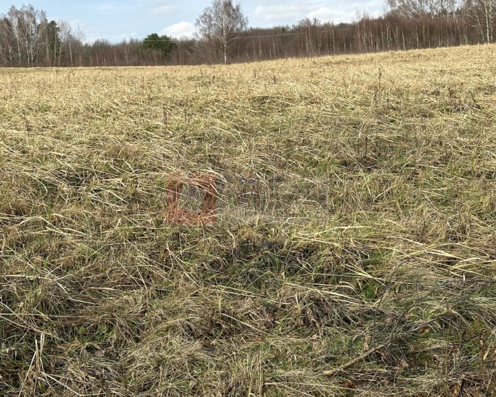 Działka Sprzedaż Storkowo