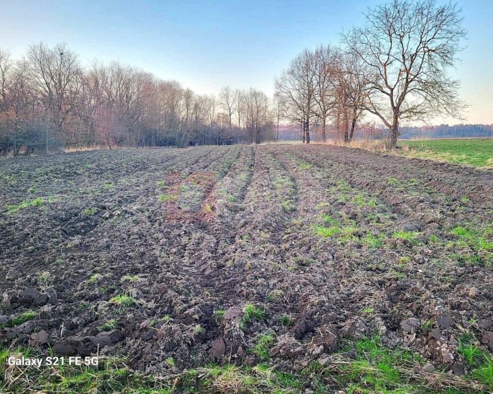 Działka Sprzedaż Górzyca