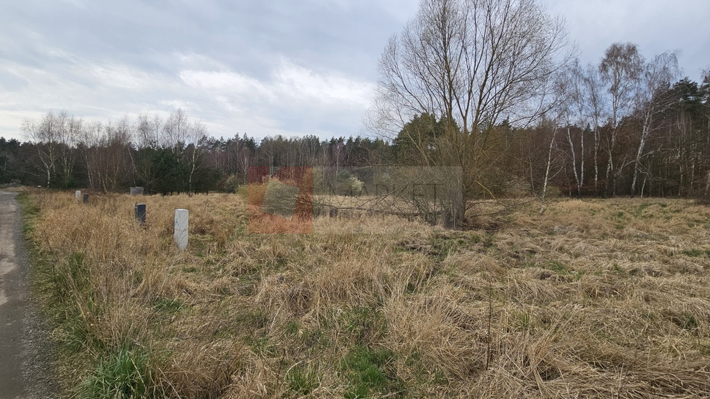 Działka Sprzedaż Dołuje