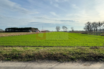 Działka Sprzedaż Borzysławiec
