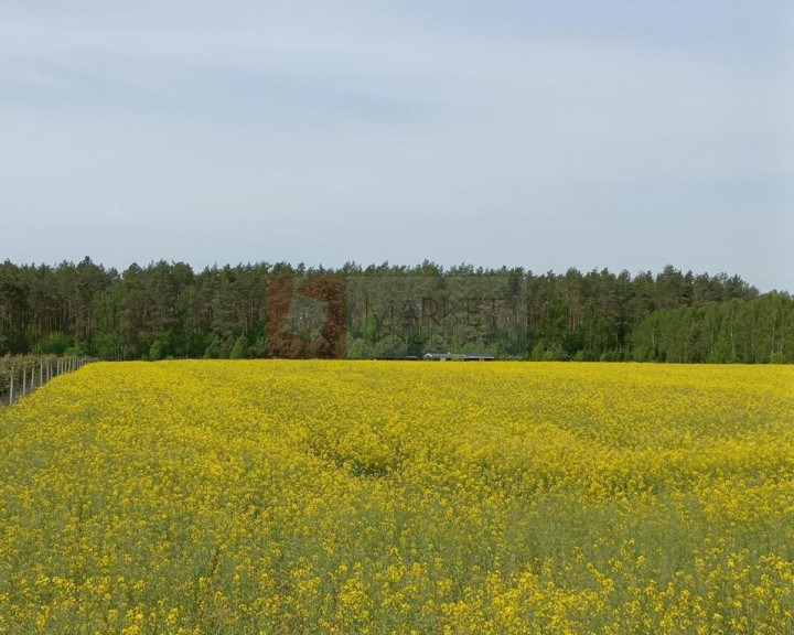 Działka Sprzedaż Stawno