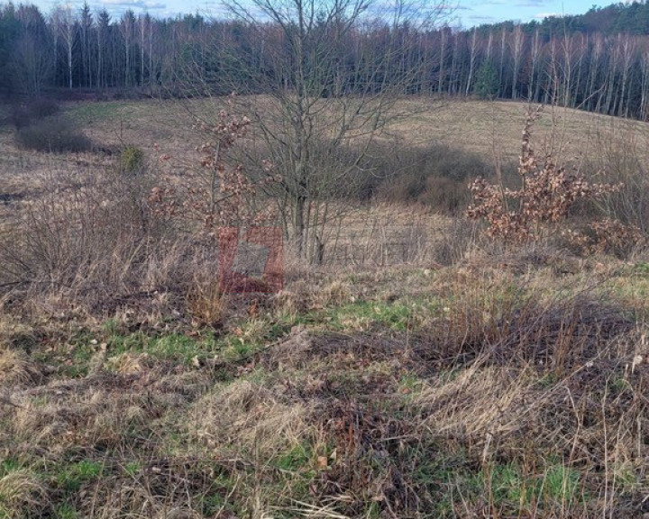 Działka Sprzedaż Zieleniewo