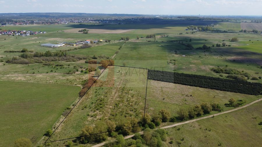 Działka Sprzedaż Wąwelnica
