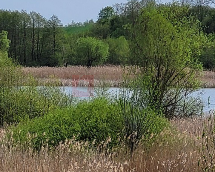 Działka Sprzedaż Zieleniewo