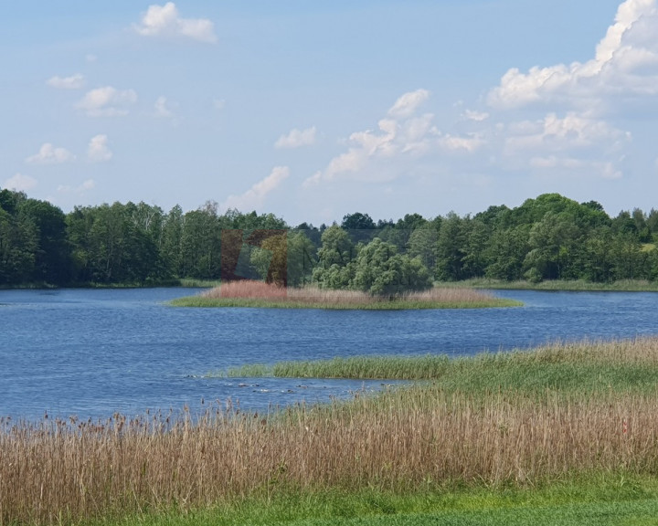 Działka Sprzedaż Zieleniewo