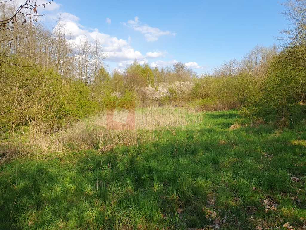 Działka Sprzedaż Zieleniewo