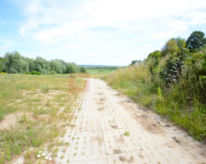 Działka Sprzedaż Kurów