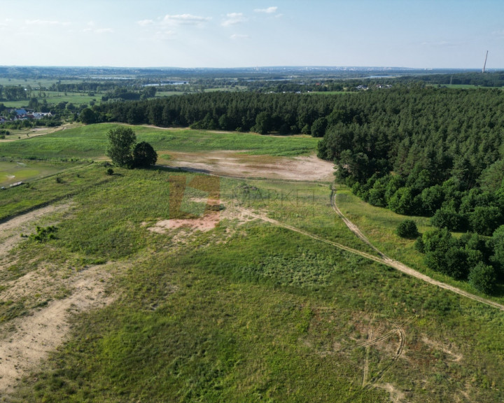 Działka Sprzedaż Daleszewo