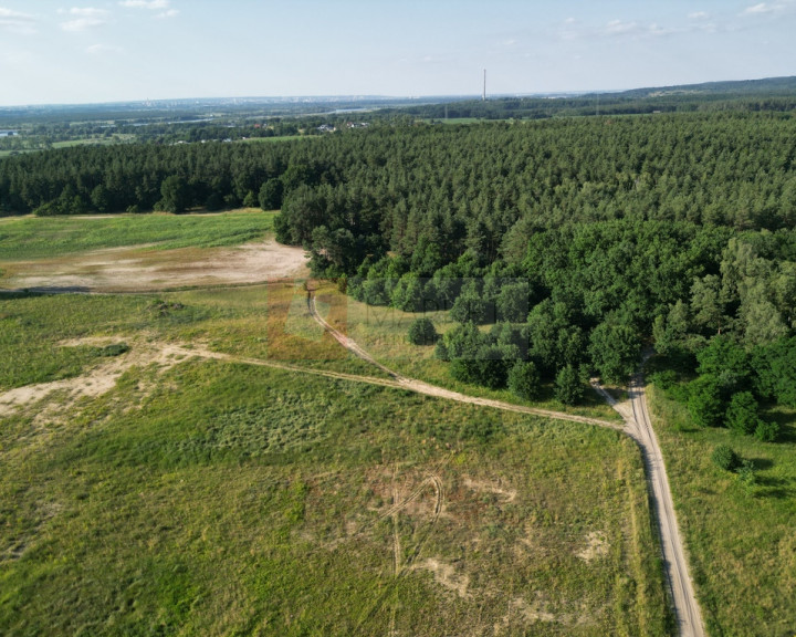 Działka Sprzedaż Daleszewo